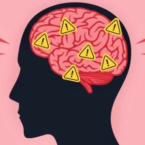 Intellectual Power Brain Supplement