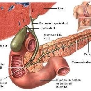 Gall Bladder Dysfunction