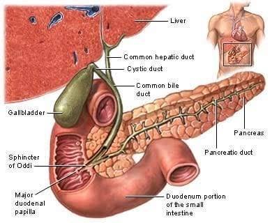 Gall Bladder Dysfunction